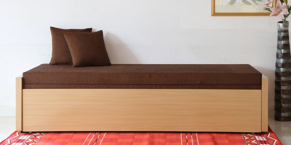 Buy Elegant Sofa Cum Bed With Storage And Mattress In Brown Colour