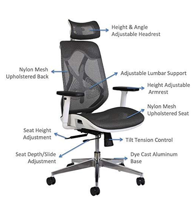 Buy Elira High Back Ergonomic Chair In White & Grey Colour By