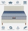 Elanor Sag Resistant 7 Inch Bonnell Spring Queen Size Mattress