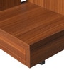 Elara Brown Colour Bookshelf In Walnut Finish With 4 Tier