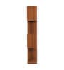 Elara Brown Colour Bookshelf In Walnut Finish With 4 Tier