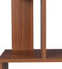 Elara Brown Colour Bookshelf In Walnut Finish With 4 Tier