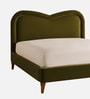 Elaris Curve Comfort Queen Size Bed in velvet With Engineer Wood Frame & Hydraulic Storage