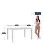 Elderberry Solid Wood 6 Seater Dining Set in White Finish with Bench