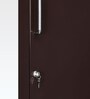 Electra 2 Door Metal Almirah With Mirror In Brown Colour