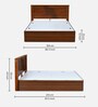 Electra Max Queen Size Bed in Walnut Finish with Box Storage