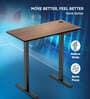 Electric Height Adjustable Desk In Brown Colour