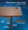 Electric Height Adjustable Desk In Brown Colour