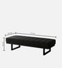 Elegant Bench in Grey Colour 