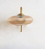 Elegant Brass Down Ribbed Amber Glass Wall Light