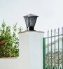 Elegant Chrome Finish Gate Light with Floral Design