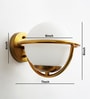 Elegant Globe Wall Sconce