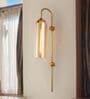 Elegant Gold Wall Light with Clear Glass Tube