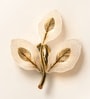Elegant Golden Leaf Wall Light