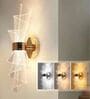 Elegant Golden Spiral Wall Light