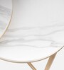 Elegant Marble Nest Of Tables In Gold Finish(Set Of 2)