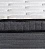 Elegant orthopaedic 6 Inch Pocket Spring & Latex Foam Mattress In Single Size