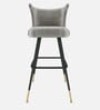 Eleganza Velvet Winged Bar Chair in Grey Colour
