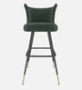 Eleganza Velvet Winged Bar Chair With Gold Accents In Green Colour