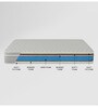 Elegenza Orthopedic 6 Inch Foam Single Size Mattress