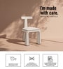 Eleion Minimal Dining Chair In Ivory Whitw Colour