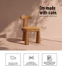 Eleion Minimal Dining Chair In Orange Colour