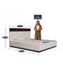 Element King Size Bed in White & Walnut Finish with Hydraulic Storage