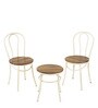 Thornet Metal Patio Table & Chair in Matte Brown Colour Set of 2