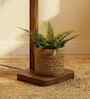 Elementary Wooden Shelf Floor Lamp with Jute Shade and Brown Base