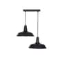 Eleora 2 Light Matt Black Metal Pendant Light