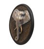 Elephant Head Wall Art (Multicolor, 28.5cm)