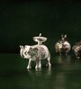 Elephant Silver
Aluminium Candle Stand