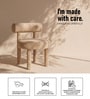 Elevara Cylinder Dining Chair In Ivory Colour