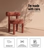 Elevara Cylinder Dining Chair In Terracotta Colour