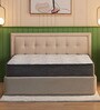 Elevate 10 Inch Pocket Spring & Soft HR Foam Mattress In King Size