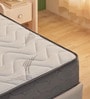 Elevate 10 Inch Pocket Spring & Soft HR Foam Mattress In Single Size