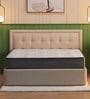 Elevate 10 Inch Pocket Spring & Soft HR Foam Mattress In Single Size
