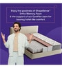 Elevate 10 Inch Pocket Spring & Soft HR Foam Mattress In Single Size