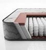 Elevate 10 Inch Pocket Spring & Soft HR Foam Mattress In Single Size