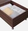 Elijah Single Bed in Brown Finish with Box Storage
