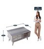 Eliptical Tribal Coffee Table In Grey & White Finish