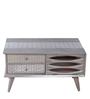 Eliptical Tribal Coffee Table In Grey & White Finish