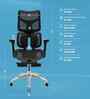 Elite Breathable Mesh Ergonomic Chair In Black Colour