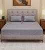 Grey Solid- Embroidery 180 TC Polyester King Sized Bedsheet With 2 Pillow Covers
