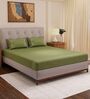 Olive Solid- Embroidery 180 TC Polyester King Sized Bedsheet With 2 Pillow Covers