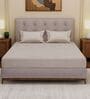 Grey Solid- Embroidery 180 TC Polyester King Sized Bedsheet With 2 Pillow Covers
