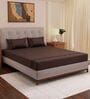 Brown Solid- Embroidery 180 TC Polyester King Sized Bedsheet With 2 Pillow Covers