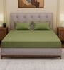 Olive Solid- Embroidery 180 TC Polyester King Sized Bedsheet With 2 Pillow Covers