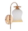 Elite Gold & Mild Steel Wall Light