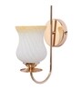 Elite Gold & Mild Steel Wall Light
